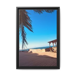 Through The Palms